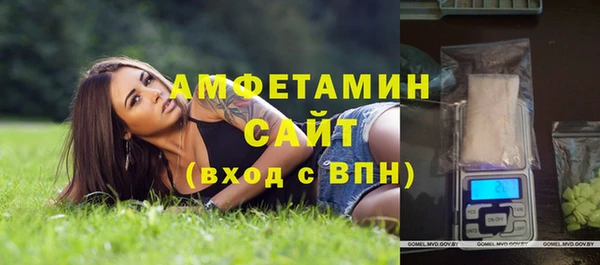 твердый Гусь-Хрустальный