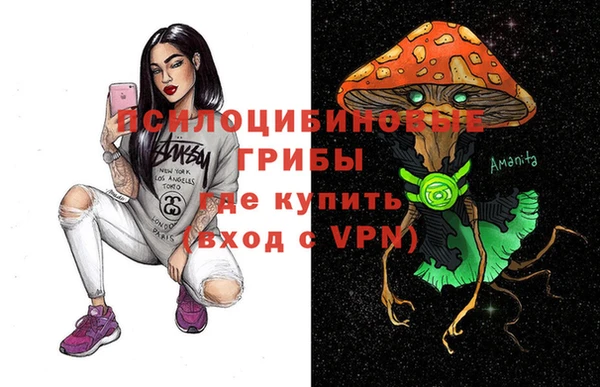 твердый Гусь-Хрустальный