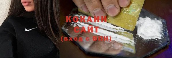твердый Гусь-Хрустальный