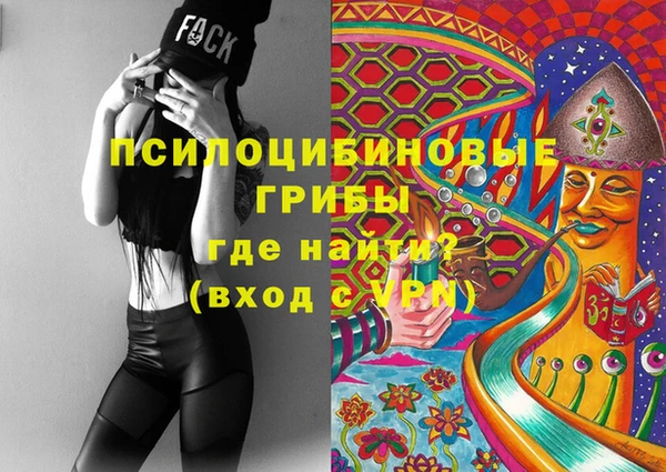 прущая мука Гусиноозёрск