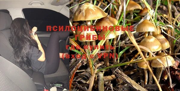 бутик Гусев