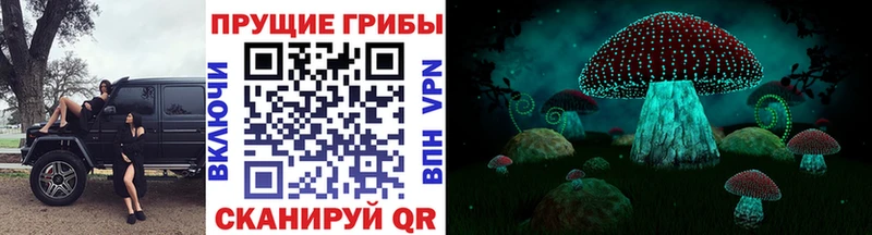 Купить закладки  Новочеркасск  Галлюциногенные грибы Psilocybine cubensis 